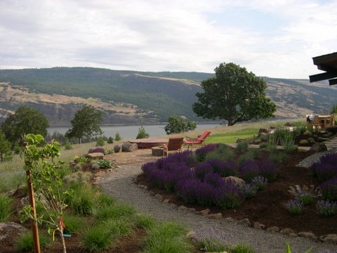 Back yard overlooking the Columbia River